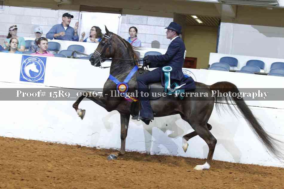 Proof Number 15R9_09167