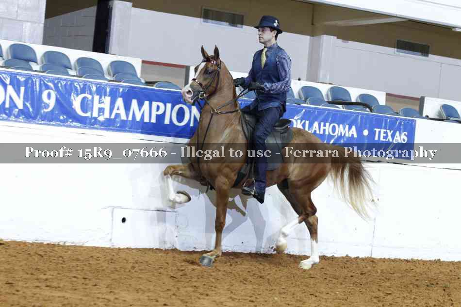 Proof Number 15R9_07666