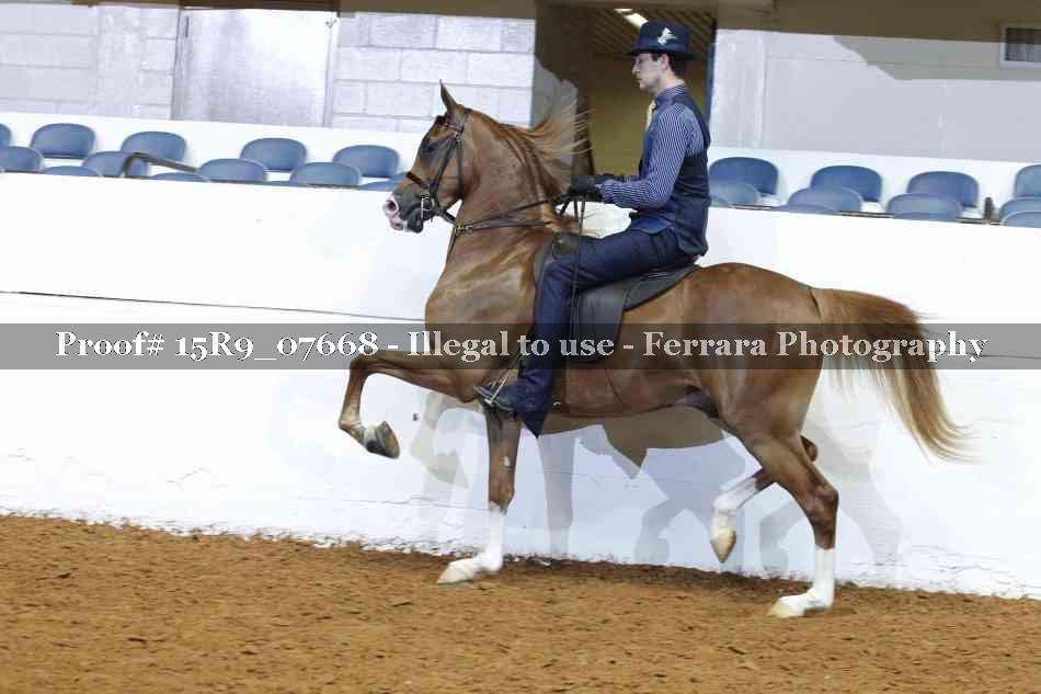 Proof Number 15R9_07668