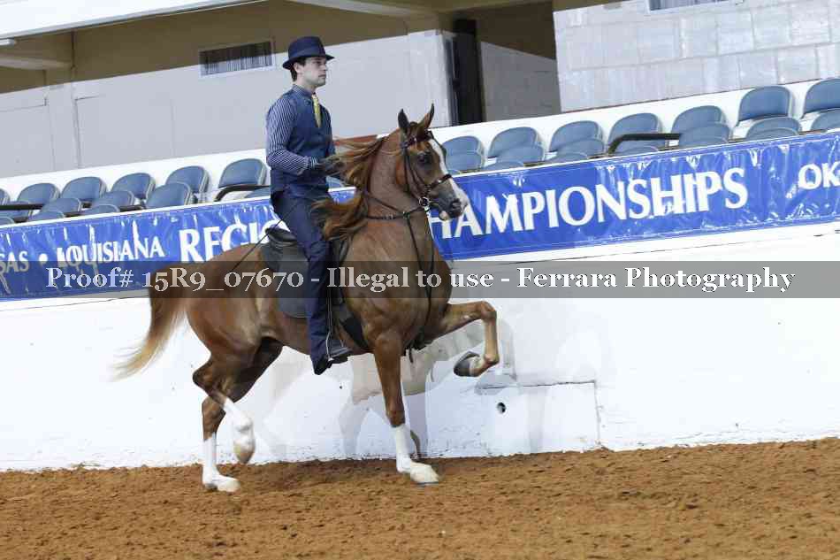 Proof Number 15R9_07670