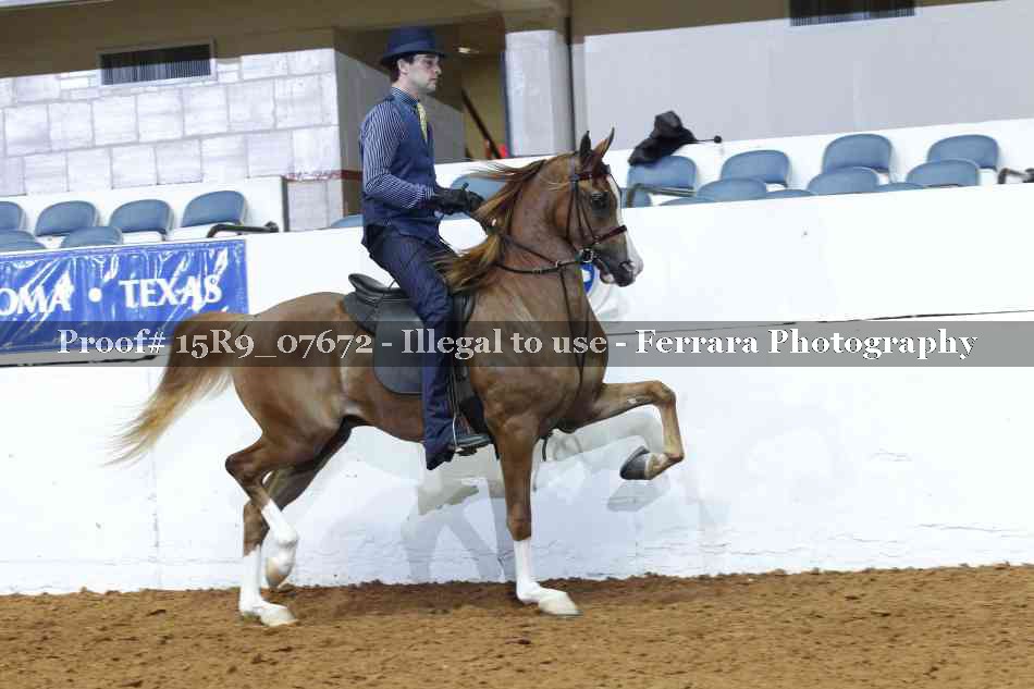 Proof Number 15R9_07672