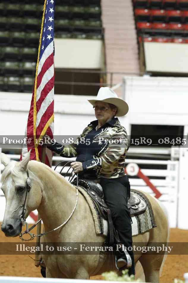 Proof Number 15R9_08485