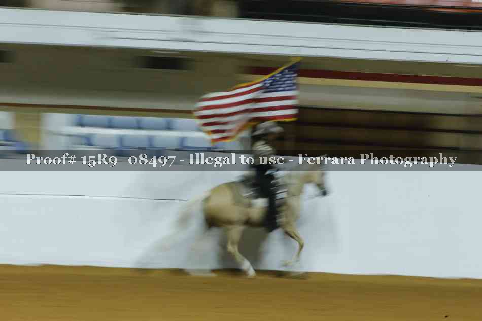 Proof Number 15R9_08497