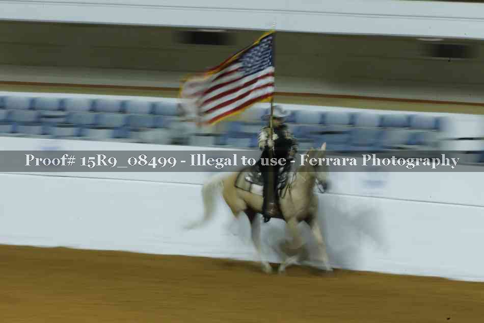 Proof Number 15R9_08499