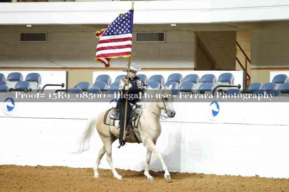 Proof Number 15R9_08500