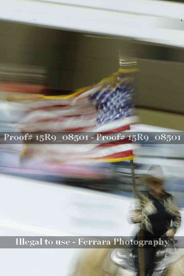 Proof Number 15R9_08501