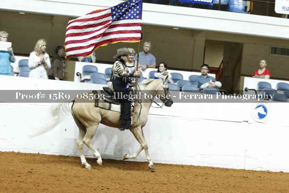 Proof Number 15R9_08503