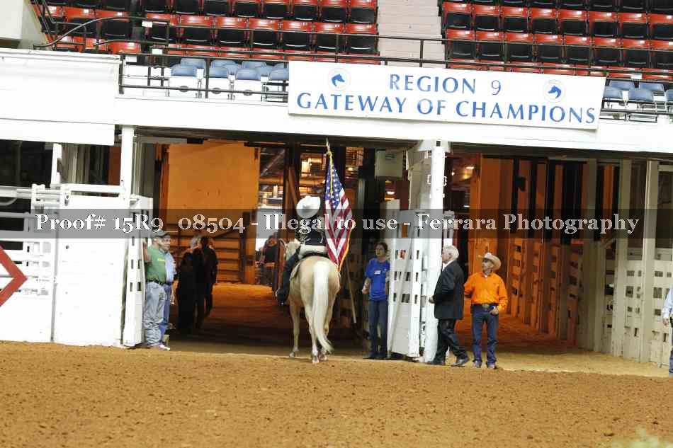 Proof Number 15R9_08504