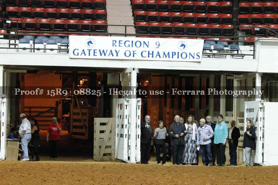 Proof Number 15R9_08825