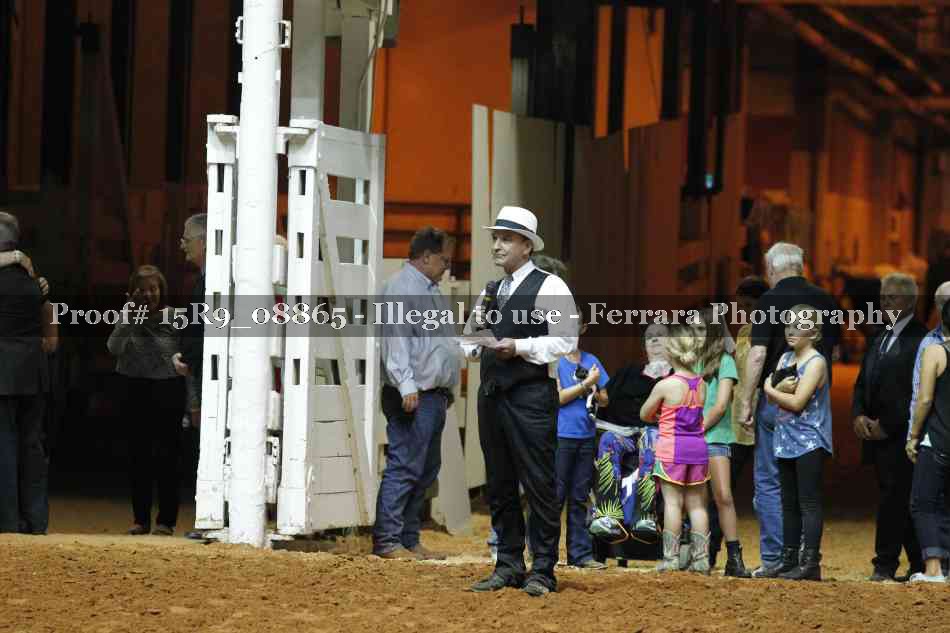 Proof Number 15R9_08865