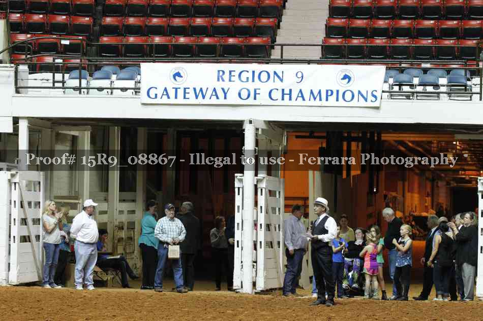 Proof Number 15R9_08867