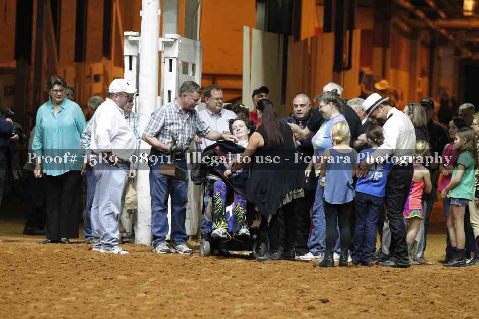 Proof Number 15R9_08911