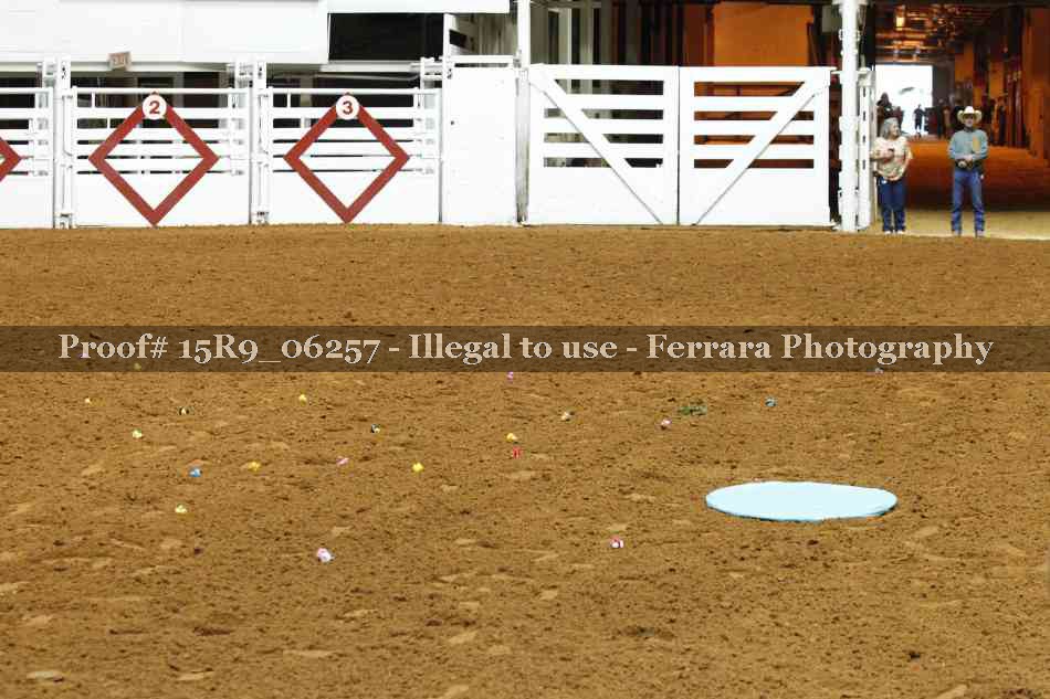Proof Number 15R9_06257