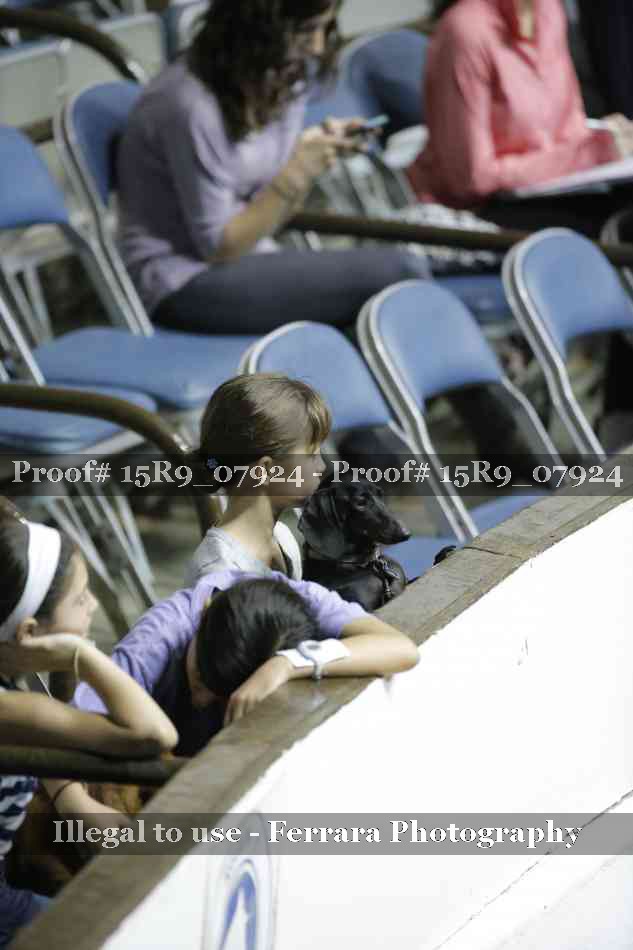 Proof Number 15R9_07924