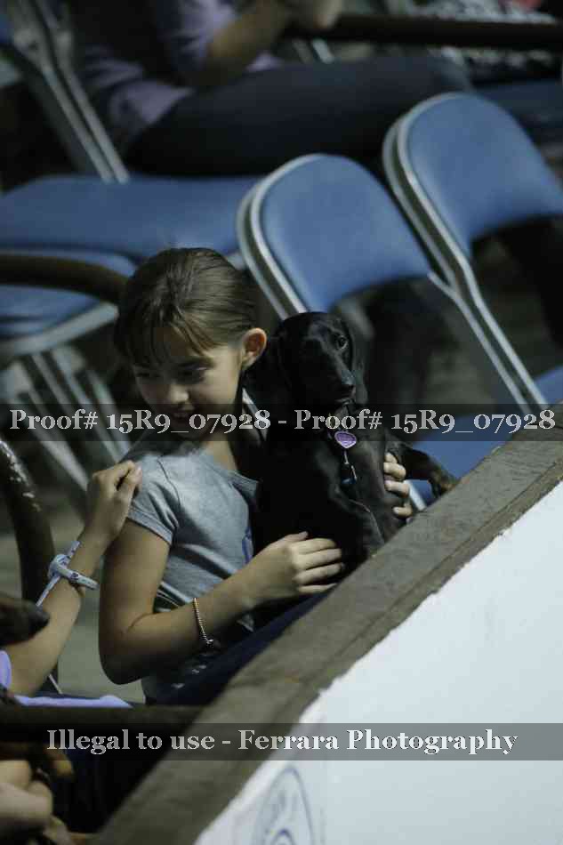 Proof Number 15R9_07928