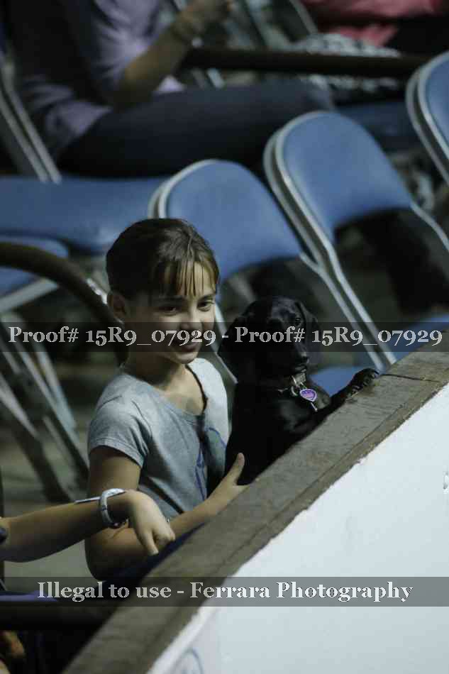 Proof Number 15R9_07929