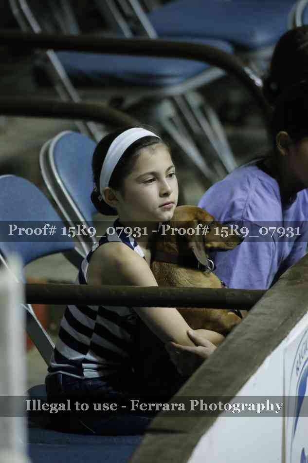 Proof Number 15R9_07931