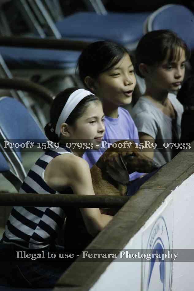 Proof Number 15R9_07933