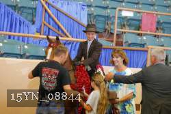 15YN_08844 thumbnail