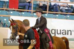 15YN_08845 thumbnail