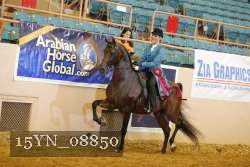 15YN_08850 thumbnail