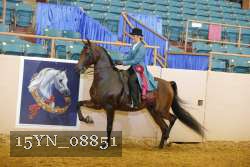 15YN_08851 thumbnail