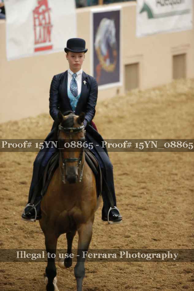Proof Number 15YN_08865
