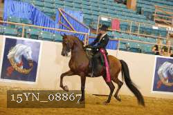 15YN_08867 thumbnail
