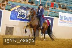 15YN_08870 thumbnail