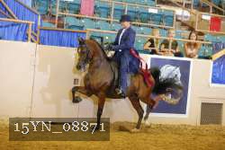 15YN_08871 thumbnail