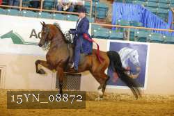 15YN_08872 thumbnail
