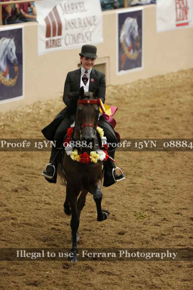 Proof Number 15YN_08884