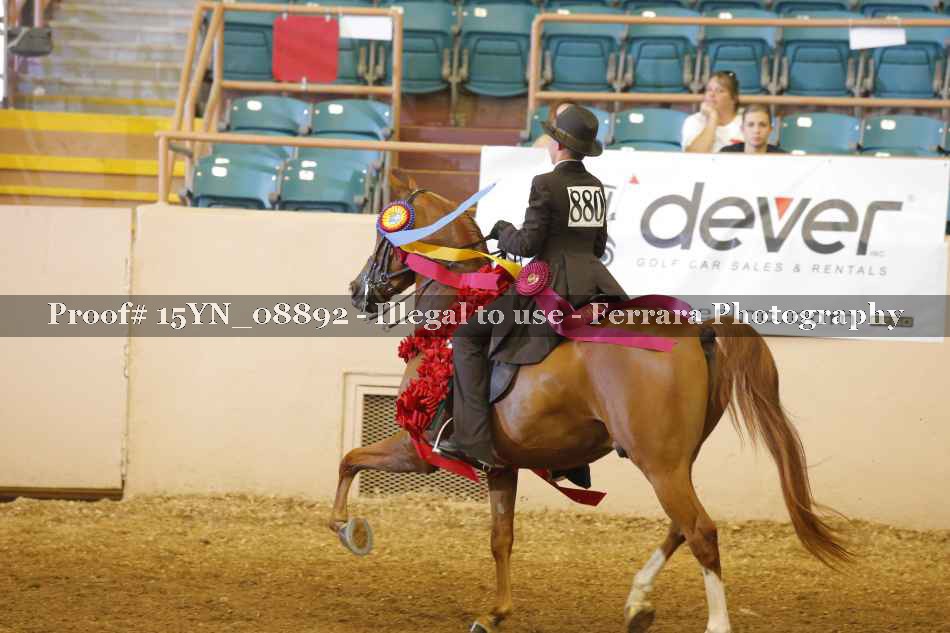 Proof Number 15YN_08892