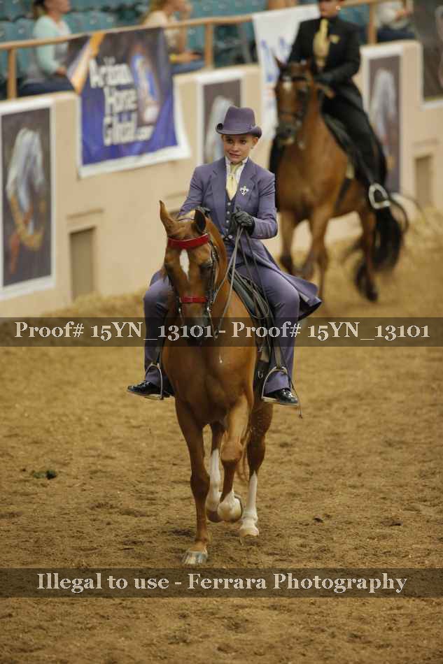 Proof Number 15YN_13101