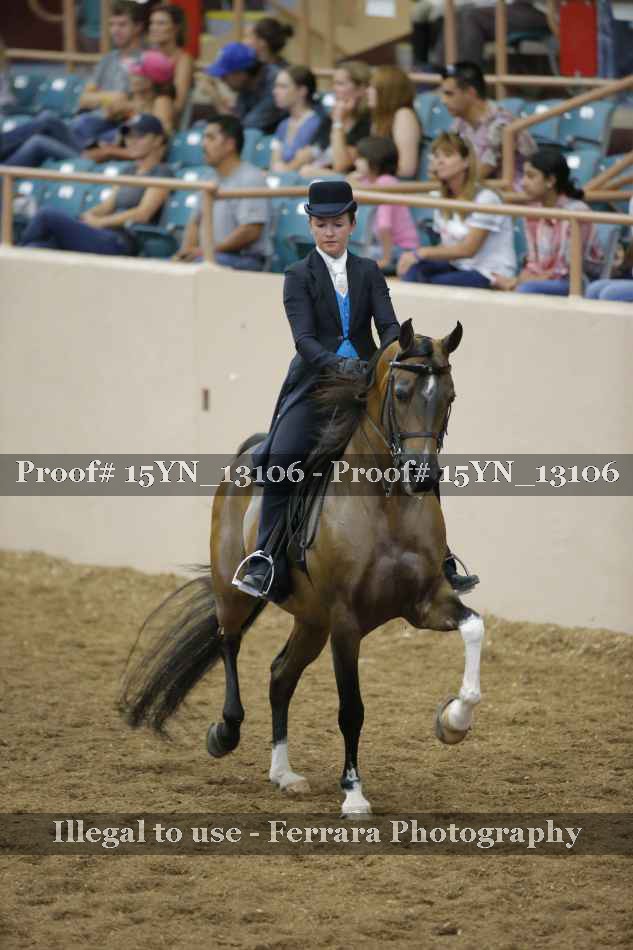 Proof Number 15YN_13106