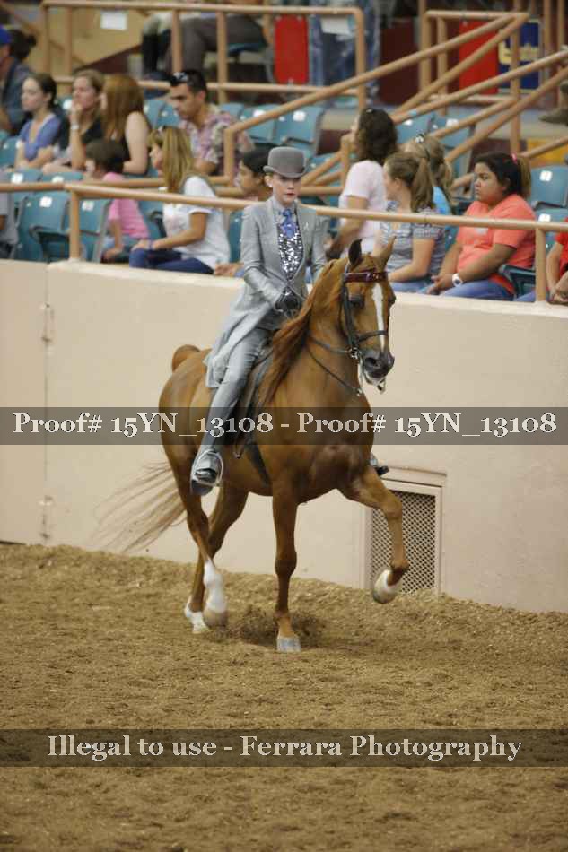 Proof Number 15YN_13108