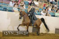15YN_32632 thumbnail