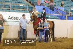 15YN_32728 thumbnail