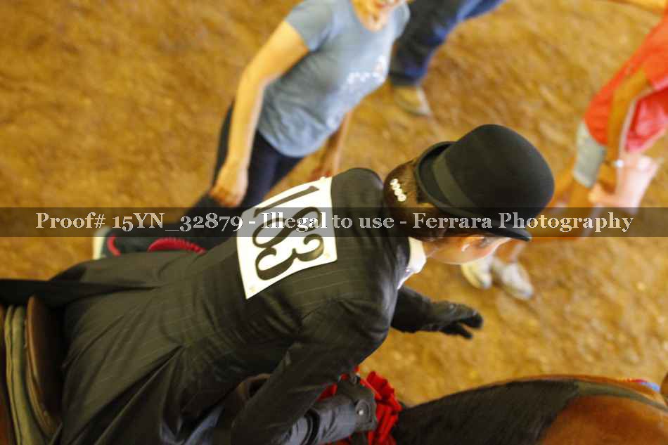 Proof Number 15YN_32879