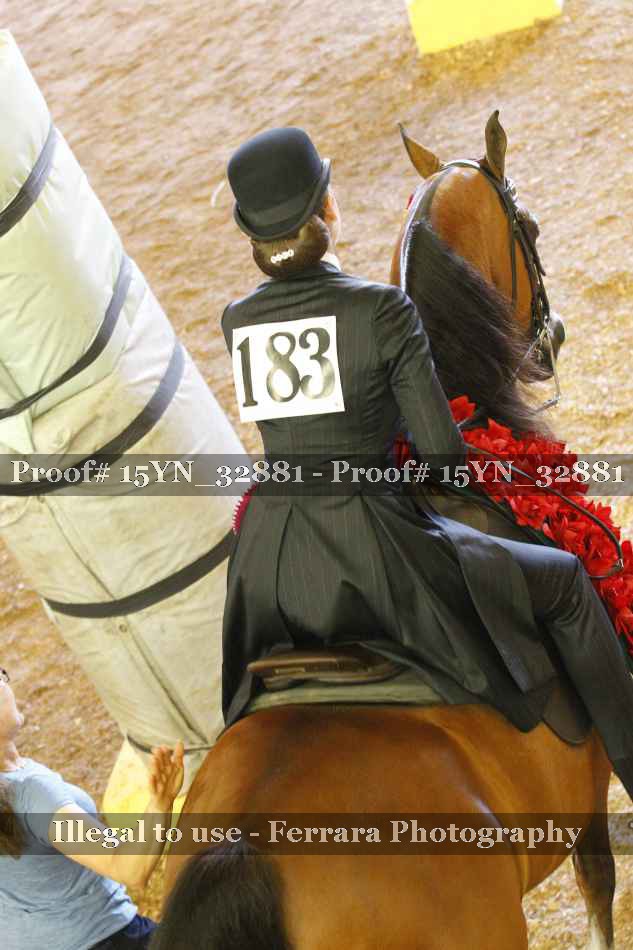 Proof Number 15YN_32881