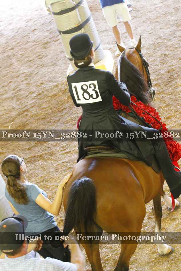 Proof Number 15YN_32882