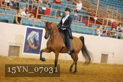 15YN_07031 thumbnail