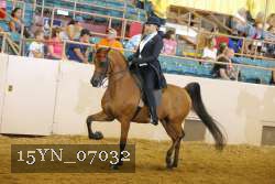 15YN_07032 thumbnail