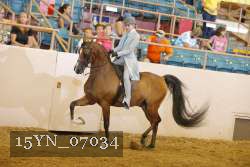 15YN_07034 thumbnail