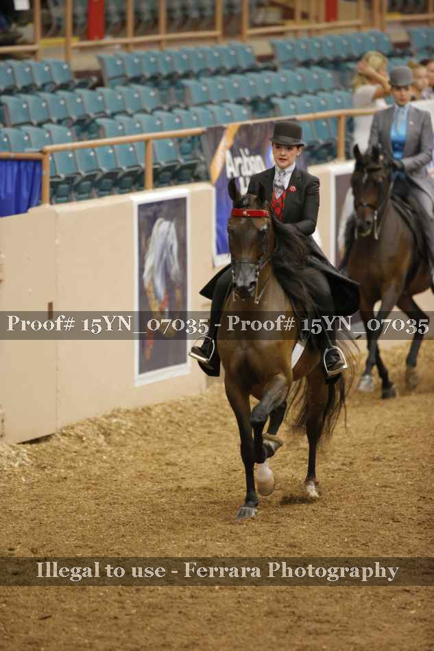 Proof Number 15YN_07035