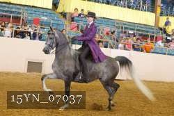 15YN_07037 thumbnail