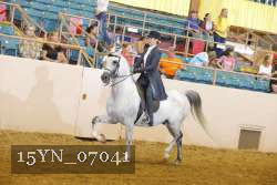15YN_07041 thumbnail