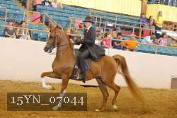 15YN_07044 thumbnail