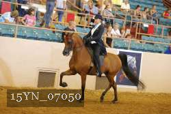 15YN_07050 thumbnail
