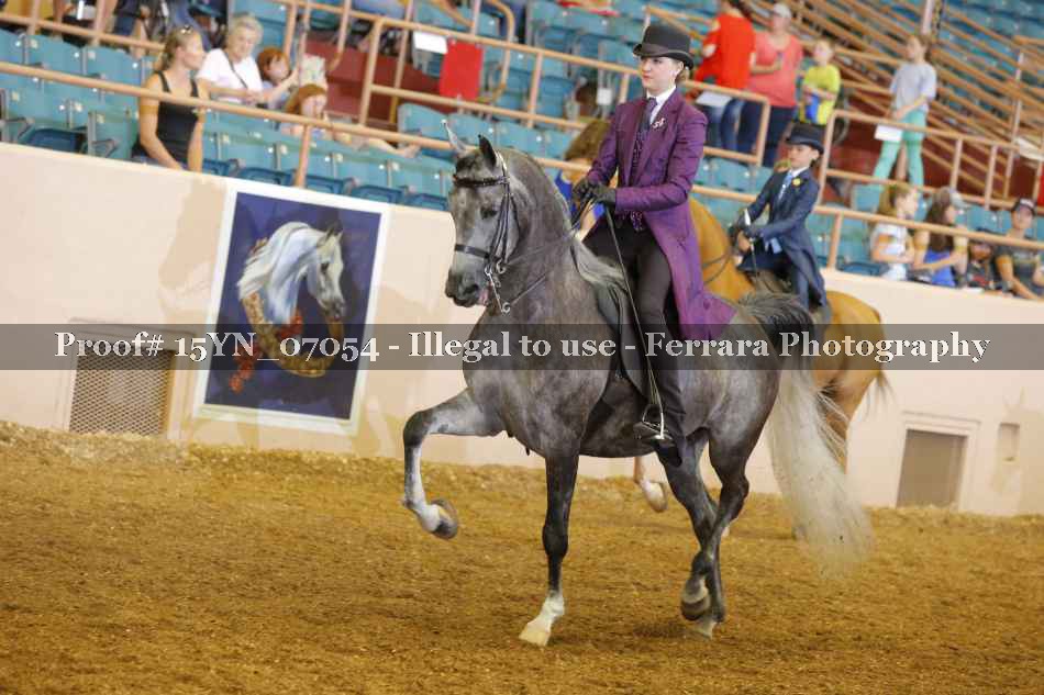 Proof Number 15YN_07054